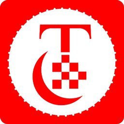 Times Consultant logo