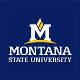 Montana State University logo
