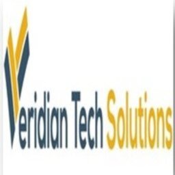 VERIDIAN TECHSOLUTIONS PRIVATE LIMITED