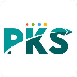 PKS INFORMATICS PRIVATE LIMITED logo