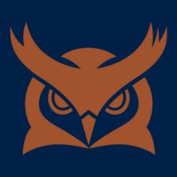 MetalWyze logo
