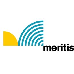 Meritis - Logo