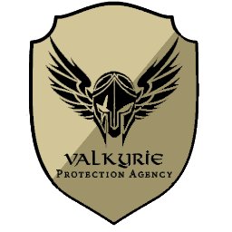 Valkyrie Protection Agency logo