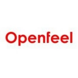 jobs in Open Feel Software Solutions