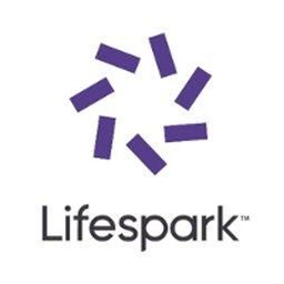 Lifespark Group LLC logo