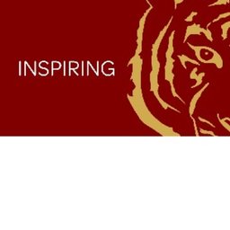 Dripping Springs ISD logo