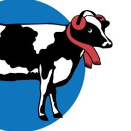 Cold cow