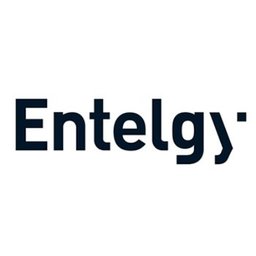 Logo de Entelgy