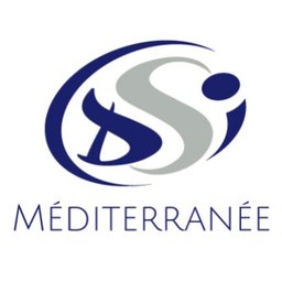 DSI MEDITERRANEE - Logo