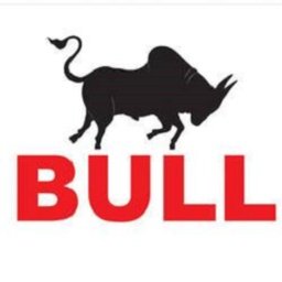 Bull Machines Pvt. Limited logo
