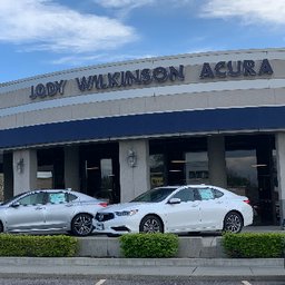 Jody Wilkinson Acura logo