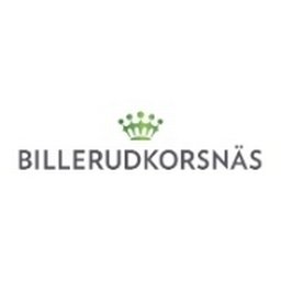 Billerud Logo