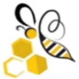 Strategenius Business Valiants logo