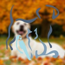 Crysler Animal Hospital