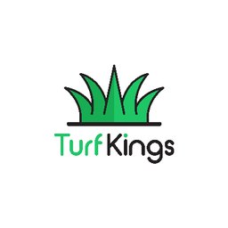 Turf Kings