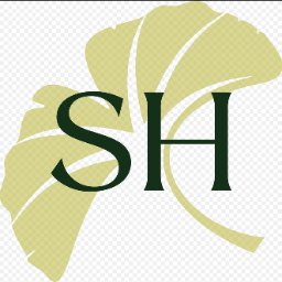 Stow Healthcare logo