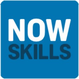 NowSkills logo
