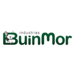 INDUSTRIAS BUIN MOR SA DE CV