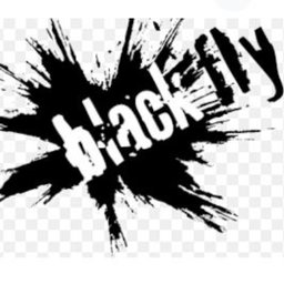 Black Fly Beverage Co.