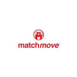 jobs in MATCHMOVE PAY PTE. LTD.
