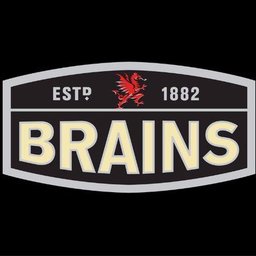 SA Brain & Co Ltd