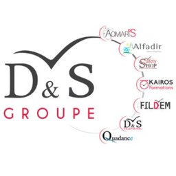 DS Groupe Logo