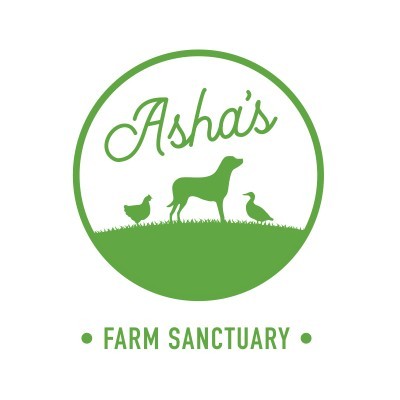 Asha S Farm Sanctuary Careers And Employment Indeed Com