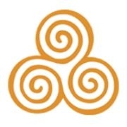 IBS Consulting Services
