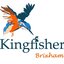 Kingfisher brixham