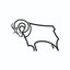 Derby county football club