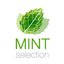 Mint selection
