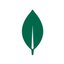 Mongodb