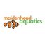 Maidenhead aquatics ltd