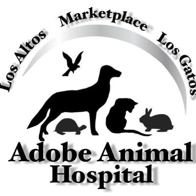 Adobe Animal Hospital Los Altos Los Gatos Veterinary Technician Salaries In The United States Indeed Com