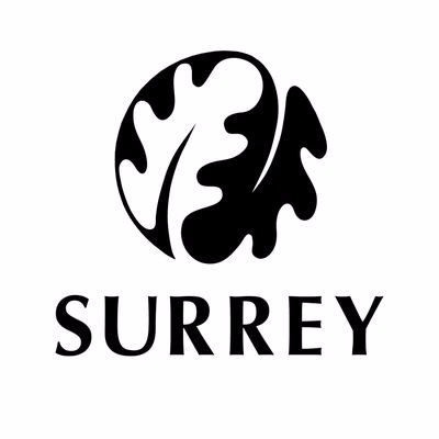 Surrey County Council Surveyor Salaries In England Indeed Co Uk - surrey county council surveyor yearly salaries in england