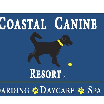 canine resort and spa