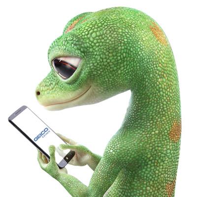 GEICO Photos | Indeed.com