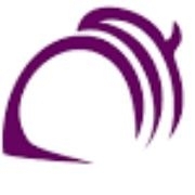 CHELSEA GROTON BANK Jobs and Careers | Indeed.com