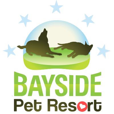 Bayside Pet Resort Careers Employment Working At Bayside Pet Resort Indeed Com