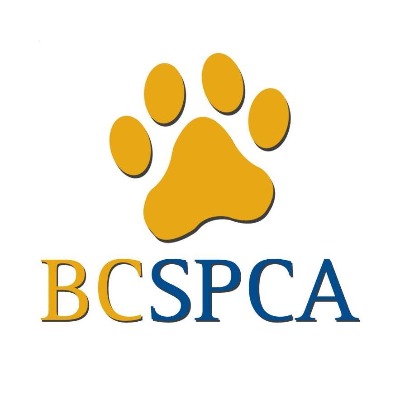 BC SPCA jobs and careers | Indeed.com