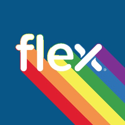 No Flex Logo